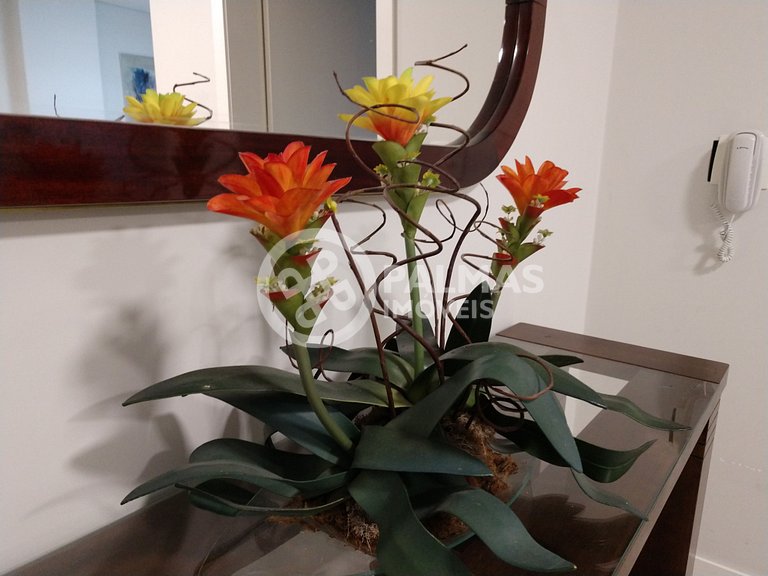 Lindo apartamento de 2 quartos com churrasqueira no centro